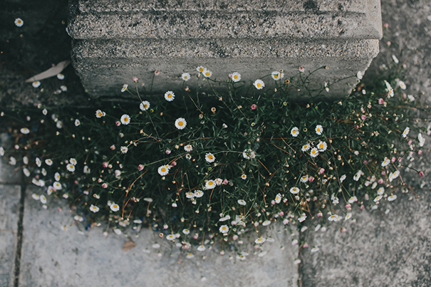 202_Luke-Going_Luciana+Grange