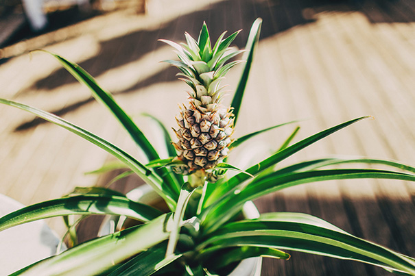 Christine-&-David-Married---0566