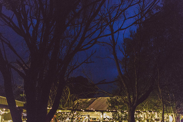 JazzyConnorsPhotographer_Annie&Steve_Wedding_211