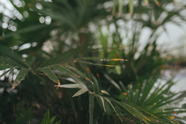 Tim-Kelly-and-Nadine-Ellen-.-Marissa-&-Blake-23