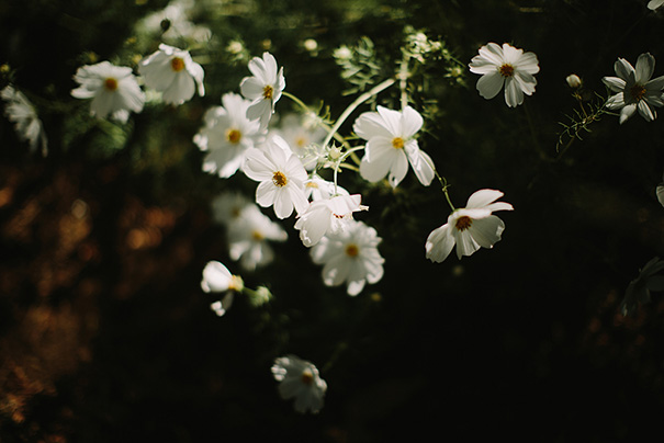 2015_09_01-0306_Aleisha_Simon