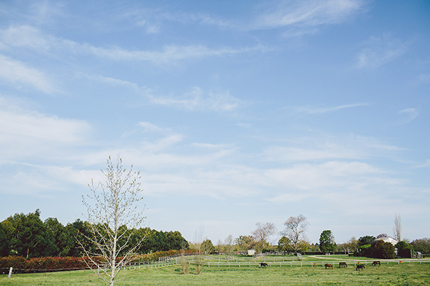 Hannah&Micah_Wedding_HighRes-377