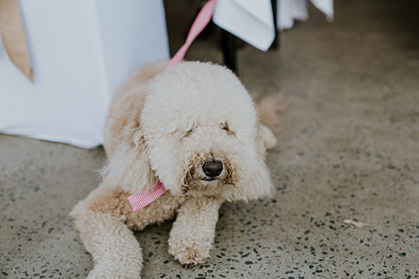 JodieTimSocial-522(2)