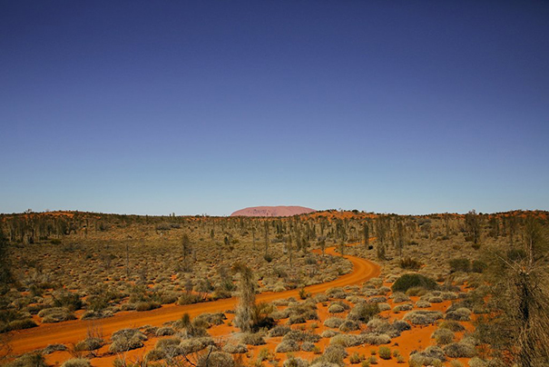 LaraHotzPhotography_Wedding_Sydney_Photographer_8846