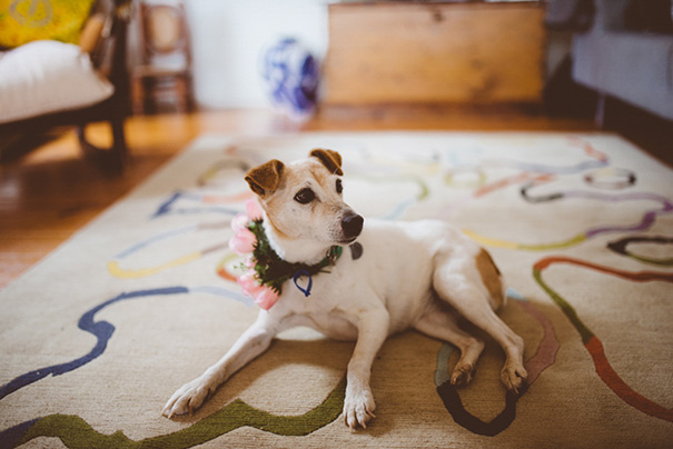 Motta-Weddings---David-+-Isabella-2