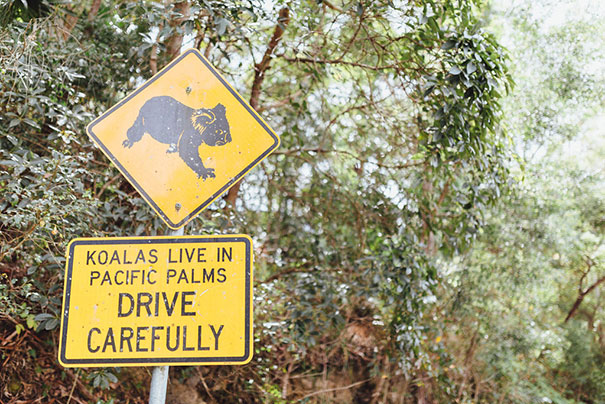 meagan_ryan_wedding_elin_bandmann_photography-020