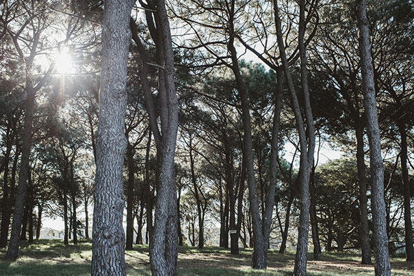 160514_Wedding_Sarah_Michael_LC5_7677