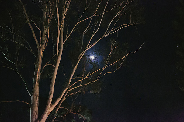 786_Kimmi+Jasveer_2016_LGP