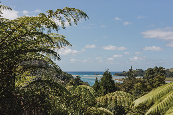 Coralee-Stone---Matt-&-Dan---Opoutere-Beach-(50-of-314)