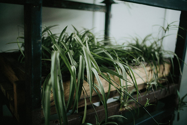 2016_06_25_lauren_stephen-0466