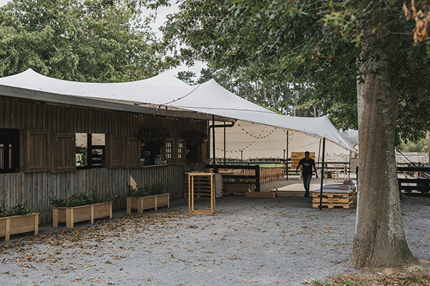 ag-low-res-coralee-stone-519-of-1651