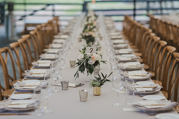 ag-low-res-coralee-stone-536-of-1651