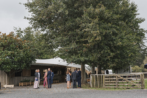 ag-low-res-coralee-stone-566-of-1651