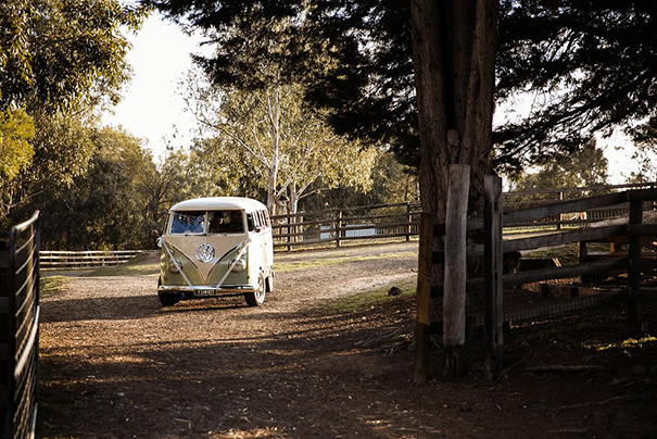 j00a8444allioughtred