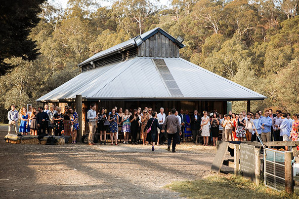 j00a8480allioughtred