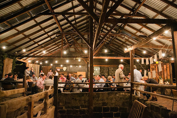 j00a9470allioughtred