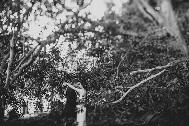 mereki-nick-print-887