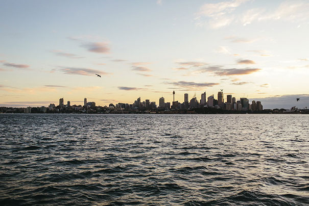 mereki-nick-print-972