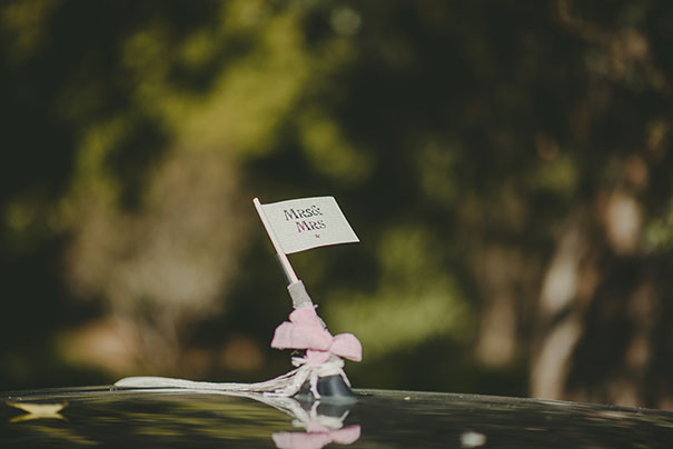 scottsurplicephotography_eliza_laura_wedding_quaama-10046