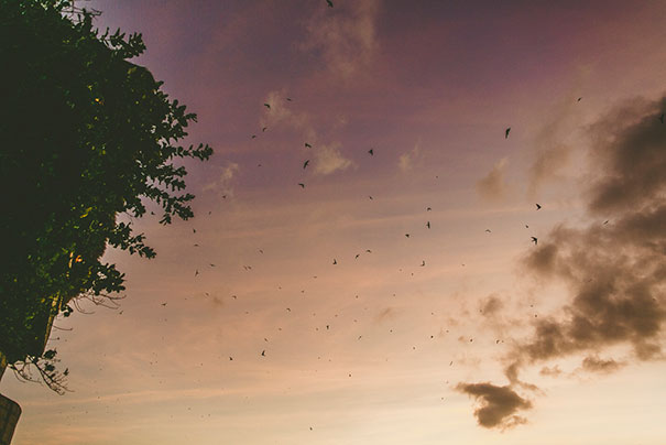 ninaclaire_lindabrett-145