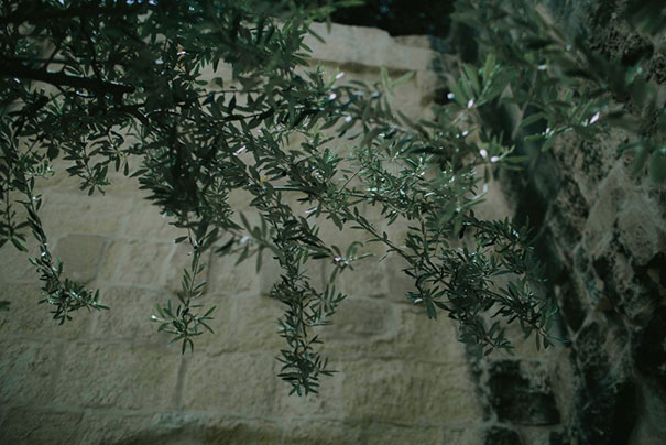 2016_06_11_petra_brent_wedding754