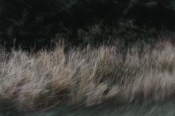 lil_jake_elopment-68