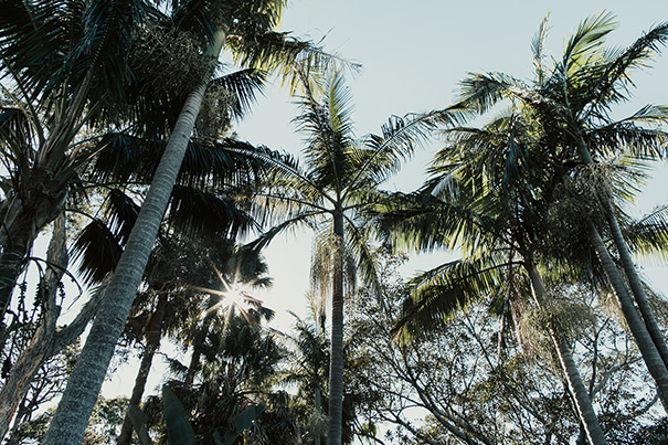 talya-marty_matt-godkin-1