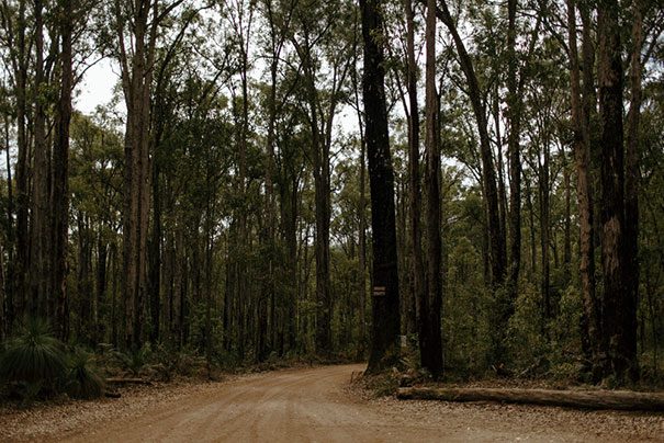 carter-rose-photography-nicholas-wedding-nanga-bush-camp9