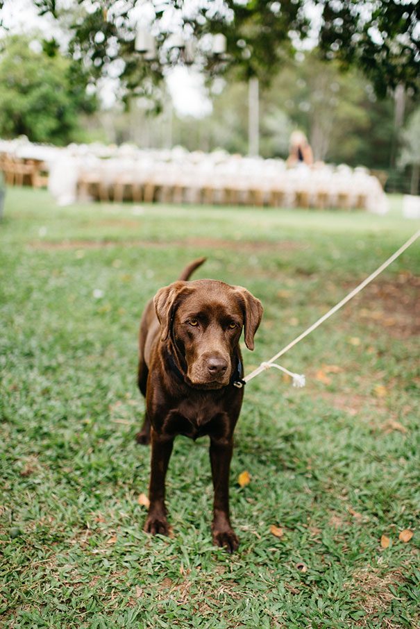 ellke_and_brendon-trent_and_jessie_photographers-24