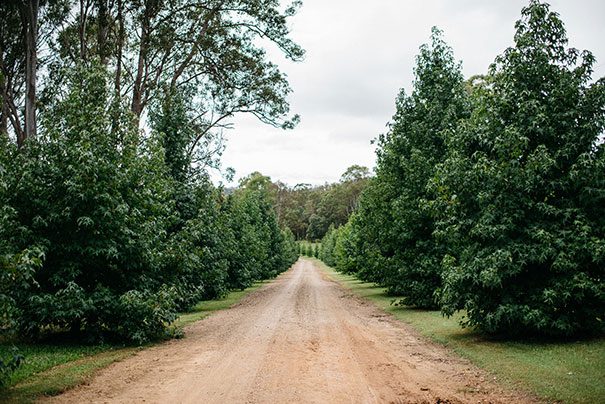 ellke_and_brendon-trent_and_jessie_photographers-3