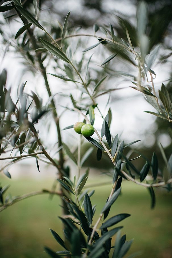 ellke_and_brendon-trent_and_jessie_photographers-94