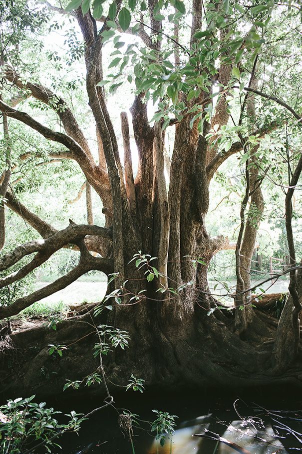 jakeesther_wedding_highres-348