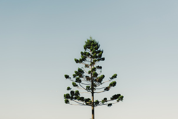 marina-andriy-fig-tree-restaurant-wedding-by-she-takes-pictures-he-makes-films-hello-may-200