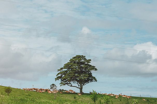 stories-by-ash-renee-luke-qld-001