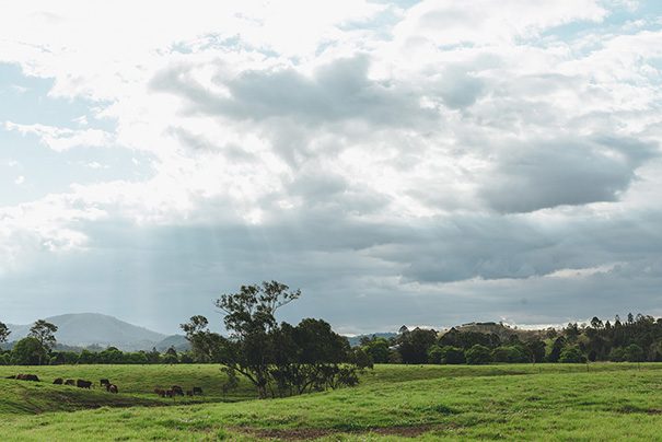 stories-by-ash-renee-luke-qld-048