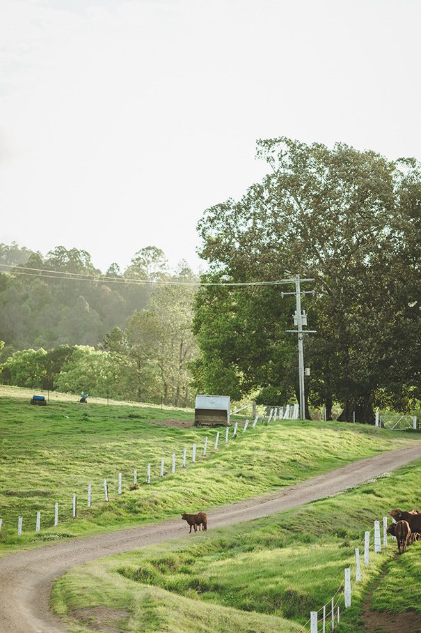 stories-by-ash-renee-luke-qld-082