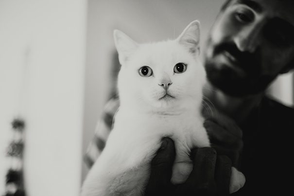 2016_11_13_cass_tim-0026