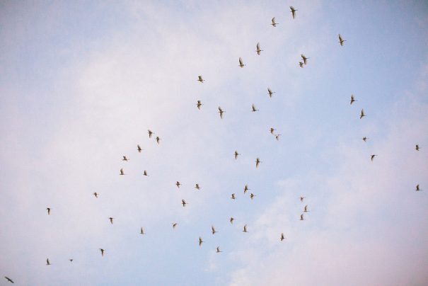 jessjames_wedding_lowres700of907