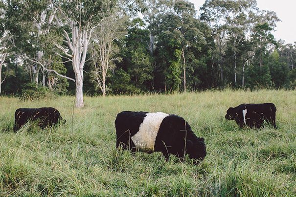 kiajesse_wedding_lowres5of858