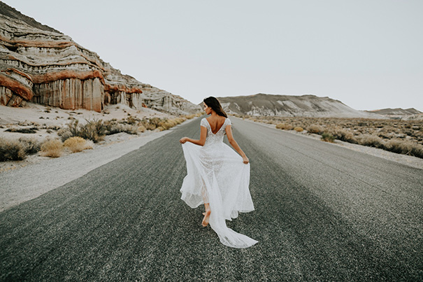 kitty-trikos-favorites-0049