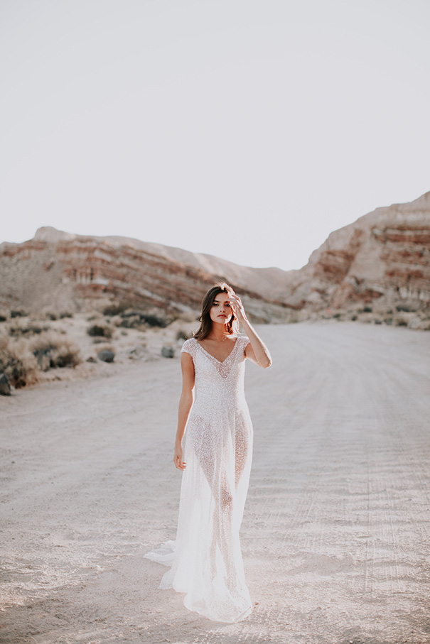 kitty-trikos-favorites-0115