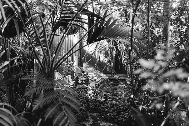 mariah_dylan_wedding-250