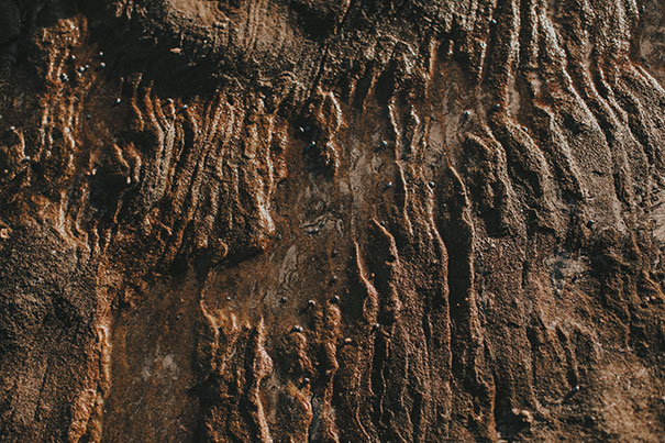 117_Luke-Going_Iris+Soenke