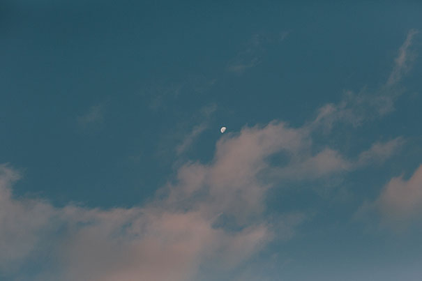 198_Luke-Going_Iris+Soenke