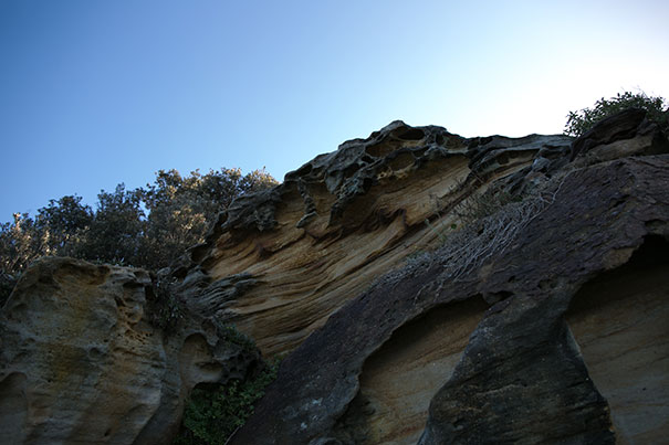 55_Luke-Going_Iris+Soenke