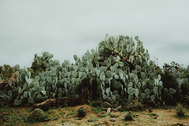 amandacam-hellomaymagazine-104