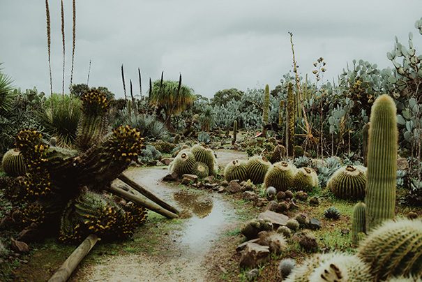 amandacam-hellomaymagazine-89