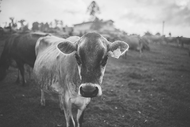 bensowry-ryanlauren-obi-obi-25