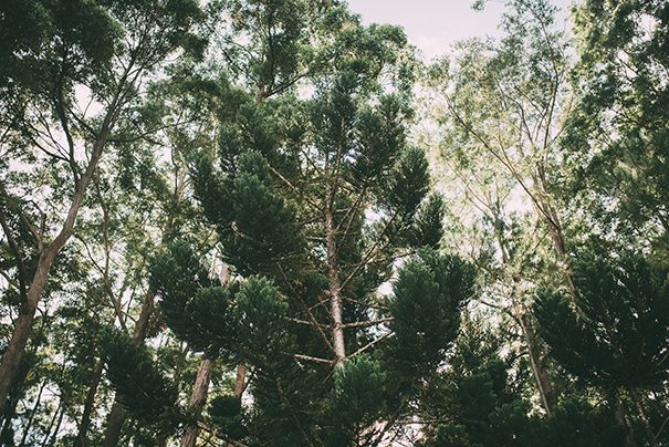 bensowry-ryanlauren-obi-obi-99