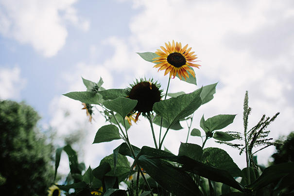 2017_01_14_Lizzie_Gerry-0568